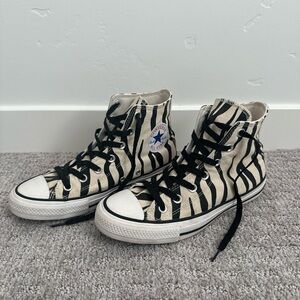 Converse Chuck Taylor All Star Zebra Stripe High Top
Sneaker
